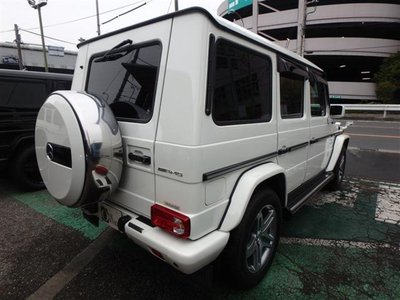 2010 Mercedes-BENZ G-CLASS AMG — фото 20