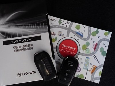 2025 Toyota LAND CRUISER 250 照片 30
