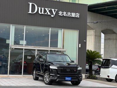 2025 Toyota LAND CRUISER 300 photo 16