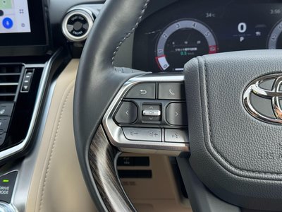 2025 Toyota LAND CRUISER 300 thumbnail 68