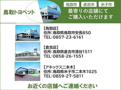2022 Toyota ALPHARD photo 3