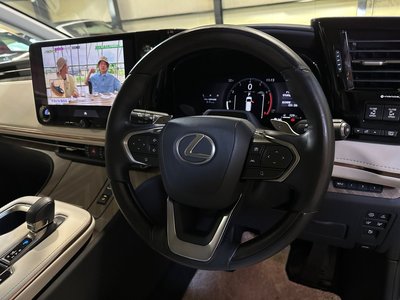 2024 Lexus LM 照片 14