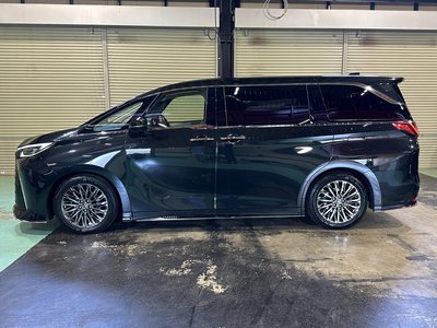 2024 Lexus LM 照片 19