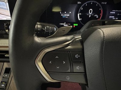 2024 Lexus LM 照片 11