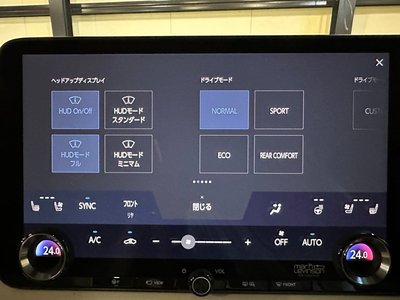 2024 Lexus LM 照片 64