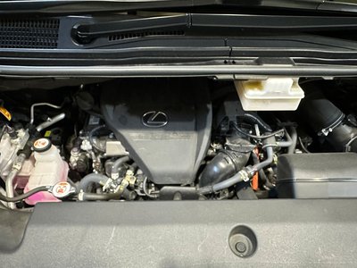2024 Lexus LM 照片 73