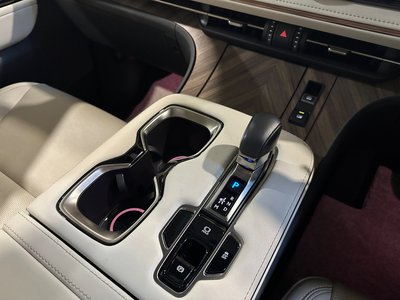 2024 Lexus LM 照片 9