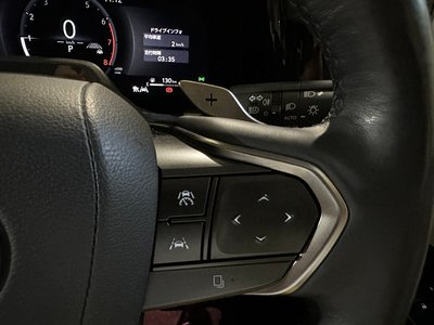 2024 Lexus LM 照片 12