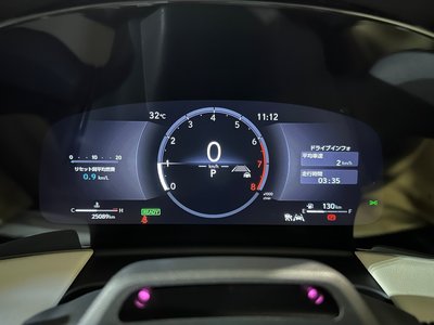 2024 Lexus LM 照片 10