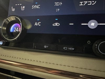 2024 Lexus LM 照片 56