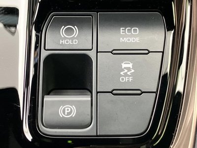 2024 Toyota ALPHARD — фото 36