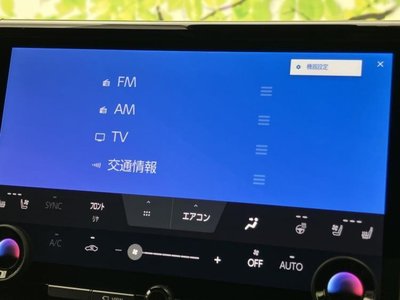 2024 Toyota ALPHARD — фото 12
