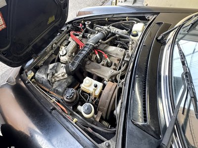 1991 ALFA Romeo ALFA SPIDER photo 7