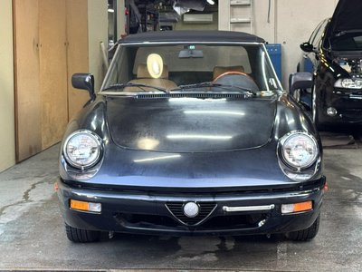 1991 ALFA Romeo ALFA SPIDER photo 2