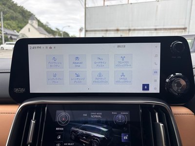 2025 Lexus LX thumbnail 39