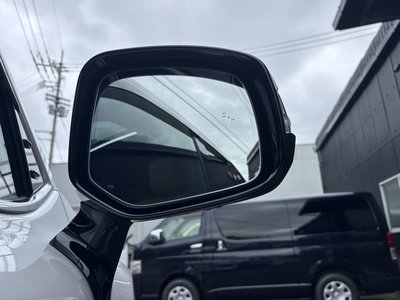 2025 Lexus LX photo 16