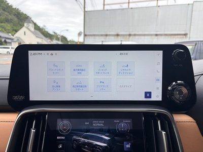 2025 Lexus LX thumbnail 40