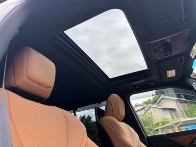 2025 Lexus LX thumbnail 20