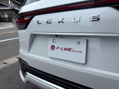 2025 Lexus LX photo 11