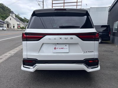 2025 Lexus LX photo 10
