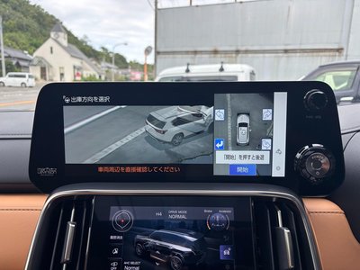 2025 Lexus LX thumbnail 42