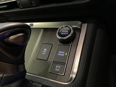 2025 Lexus GX photo 29