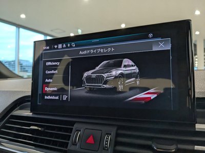 2025 AUDI SQ5 SPORTBACK thumbnail 46