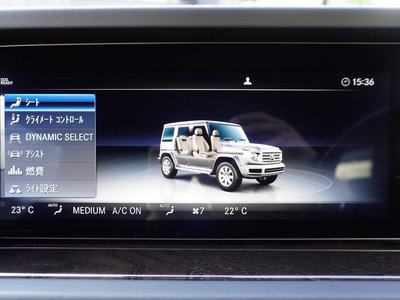 2021 Mercedes-BENZ G-CLASS thumbnail 17