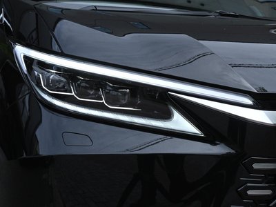 2026 Lexus LM photo 13