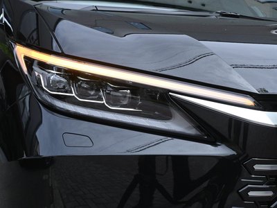 2026 Lexus LM photo 14