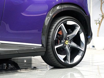 صورة 6 لـ 2024 Ferrari PUROSANGUE