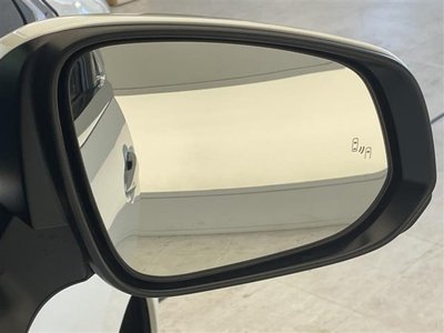 2025 Toyota ALPHARD 照片 34