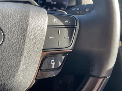 2025 Toyota ALPHARD 照片 22