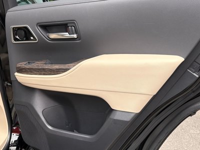 2025 Toyota LAND CRUISER 300 thumbnail 24