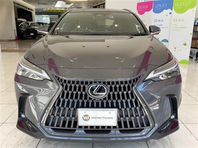 2022 Lexus NX thumbnail 18