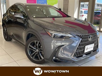 2022 Lexus NX photo 1