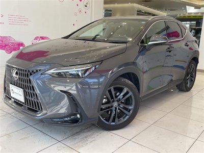 2022 Lexus NX thumbnail 23