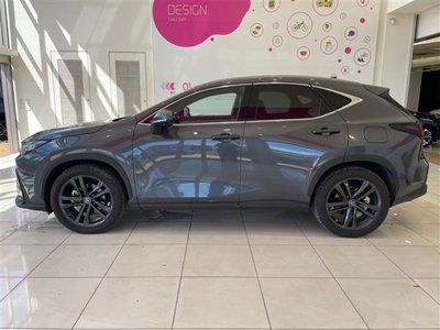 2022 Lexus NX thumbnail 22