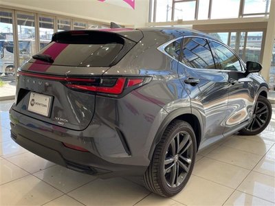 2022 Lexus NX thumbnail 19