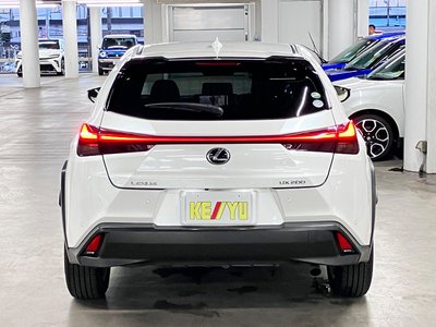 2019 Lexus UX 照片 10
