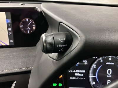 2019 Lexus UX 照片 39