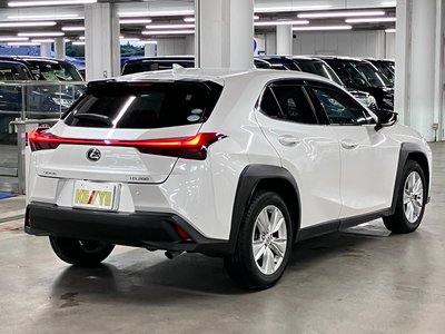 2019 Lexus UX 照片 6