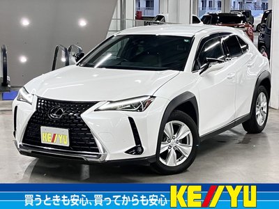 2019 Lexus UX 照片 1