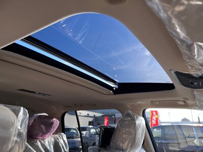 2023 Toyota LAND CRUISER 300 — фото 113