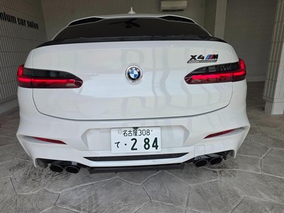 صورة 11 لـ 2019 BMW X4 M