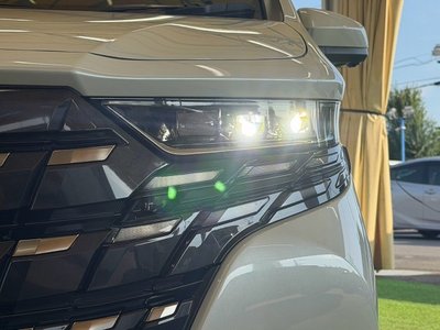 2025 Toyota ALPHARD 照片 34