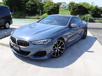 2018 BMW 8 SERIES — фото 9
