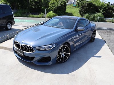 2018 BMW 8 SERIES — фото 8