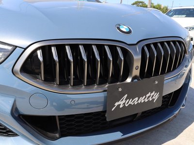 2018 BMW 8 SERIES — фото 33