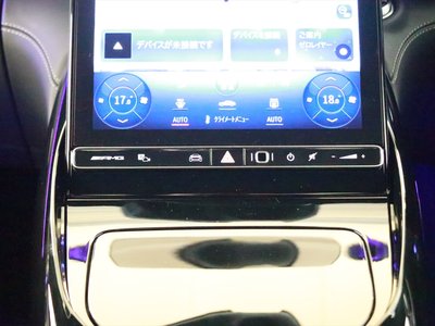 2025 Mercedes-BENZ GT AMG photo 16